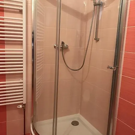 Bellis * Tatranská Lomnica